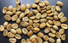 Indonesian Sulavi Karosi Coffee Raw beans