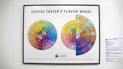 SCAA's coffee flavor round Coffee Taster's Flavor Wheel