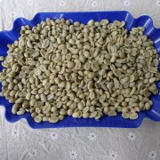 Ethiopia Yega Chuefei Coffee cooked beans Cochel kochere washed G1 Yega Chefe ripe beans