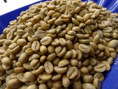 Ethiopia Yega Snow Coffee Sun Coffee cooked beans Yega Sheffield G1 Shepherd issued an order for baking