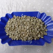 Panamanian FST Santa Teresa Manor boutique coffee beans imported coffee cooked beans issued orders for home-made baking and grinding