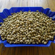 Tanzania Kilimanjaro pearl PB round beans Gillemaza washed bourbon African coffee beans