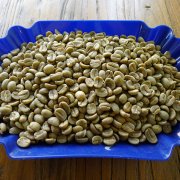 Honduras Water washing treatment SHB Grade Saint Rose treatment Plant Rainforest Certification for roasting Coffee beans