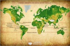 Introduction of major producing countries and their famous coffee bean producing areas