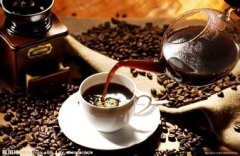 What is the basic knowledge about the harm of drinking coffee