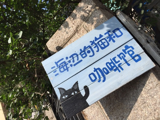 Qingdao specialty cafes recommend cats and cafes by the sea