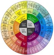 Coffee Bean roasting Coffee roasting and Coffee Flavor Wheel