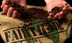 New Fair Trade Relation Coffees Coffee and Bean seller
