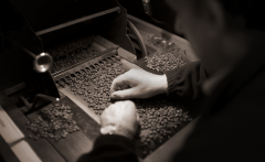 Honey-treated beans from the three sisters of Mantenin and lemon tree estates