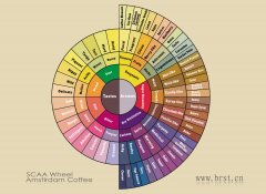 The difference between Coffee Grinder Coffee Grinder, Ghost Tooth and flat Coffee Grinder