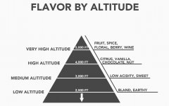The effect of altitude on coffee quality and flavor Why is higher altitude better?