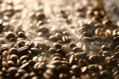 China's export of coffee raw materials hit a new high