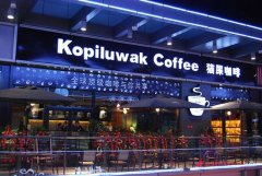 Why boycott the world's most expensive Kopi Luwak?