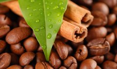 Analysis of the policy of China's import and export coffee industry the process of coffee bean import