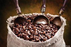 Interpretation of the characteristics of different kinds of coffee beans Coffee is a product of the tropics