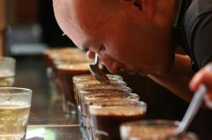 The technique of drinking coffee teaches you how to taste coffee in three minutes.