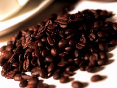 Where does the bitterness and acid of coffee come from?