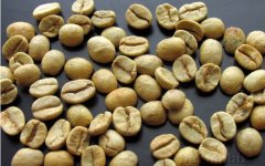 Brazil Santos Coffee Raw Bean Brazil Santos Coffee