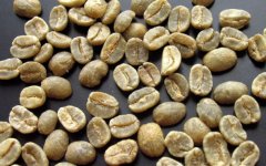 Colombian SUPREMO grade coffee raw beans