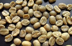 Kenya Coffee Raw Bean Kenya AA green bean