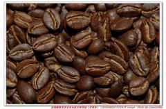 Rayloy Coffee beans from Kuanji Farm, New Caledonia, France