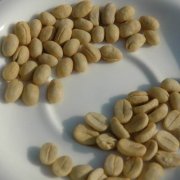 Sumatra Lindong Manning Coffee Bean SumatraLintongRasuna