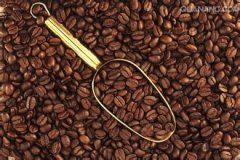 How to select coffee beans with a vibrating screen? What is the skill of picking beans?