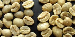 Coffee raw beans: the main components of raw beans between new beans and old beans