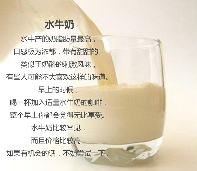 哪些奶制品是咖啡的忠实小伙伴？
