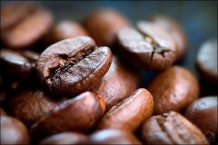 What are the more famous coffee beans at present?