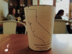 An environmentally friendly coffee cup with germinable seeds.