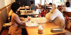Plush toys accompany you to drink coffee, not alone