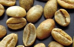 Ethiopia (Ethiopia) mocha coffee raw beans