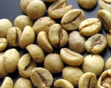 Well-known coffee raw beans introduce raw beans in Robusta, Java, Indonesia