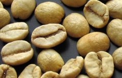 Introduction to Brazilian Coffee Raw Bean
