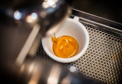 What is the basic knowledge of Crema espresso what is the coffee oil?