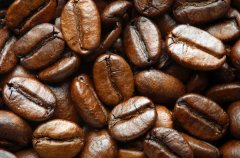 There is no way to examine the origin of coffee and the origin of coffee ingredients.