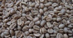 Brief introduction of Ethiopian Coffee the hometown of Arabica Coffee
