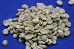 Kenya AA completely washed coffee beans washed coffee beans
