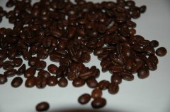EL Salvador Shangri-La Manor Coffee Bean Fine beans