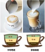 Talk about the difference between cappuccino and latte.