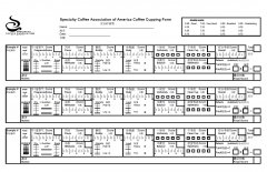 Mahdi Mahlkonig EK43 vs GUATEMALA in Cup Test Sensory Comparison