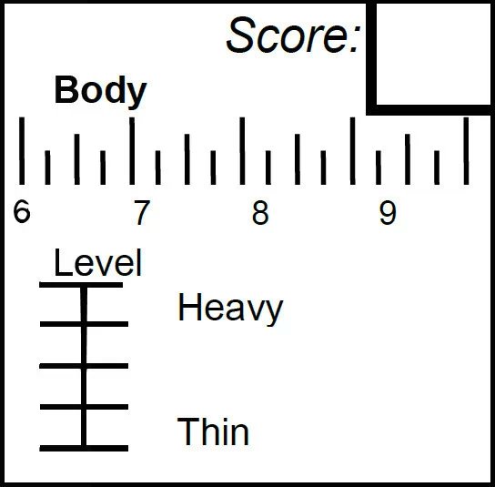 1-140S01H1564Z.jpg