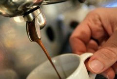 How many kilos is the Italian coffee maker 9B in the powder bowl?