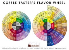 SCAA Flavor Wheel Coffee Tasters Flavor Wheel bilingual PDF download