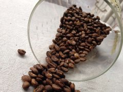 Coffee roaster related terms explain baking knowledge