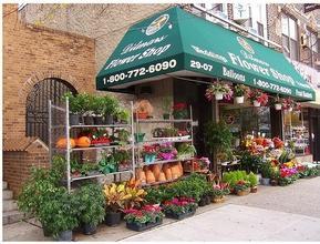 Can opening a flower shop, bookstore and coffee shop really support your literary dream?