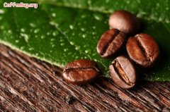 The preservation of coffee beans affects the three factors of coffee beans.