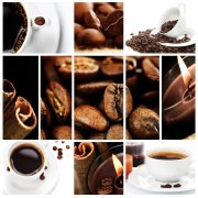 The selection and purchase of good instant coffee has the following common characteristics