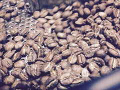The characteristics, Origin and History of Fine Coffee Bean Mocha Coffee